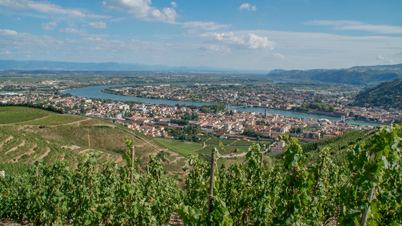 drome vue