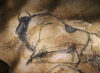grotte chauvet